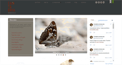 Desktop Screenshot of cantabriaminuscula.com